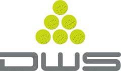 DWS srl Logo