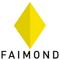 FAIMOND SRL Logo