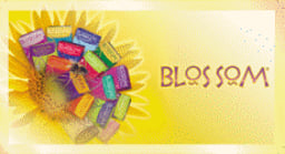 Blossom / Mexpo International Inc. Logo