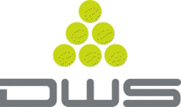 DWS srl Logo