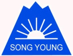 Song Young International Company Logo