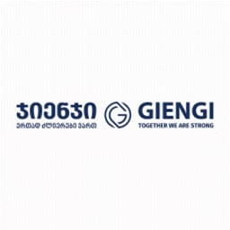 LTD GIENGI Logo
