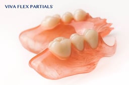 DENTAL FLEX ITALIA snc Logo