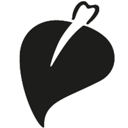 NSI srl Logo