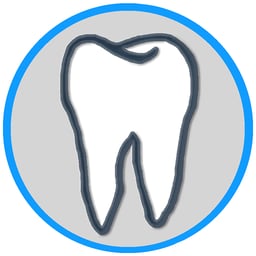 dentport GmbH Logo