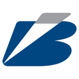 Bone System Logo