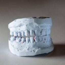 Bio Dental Supply S.r.l Logo