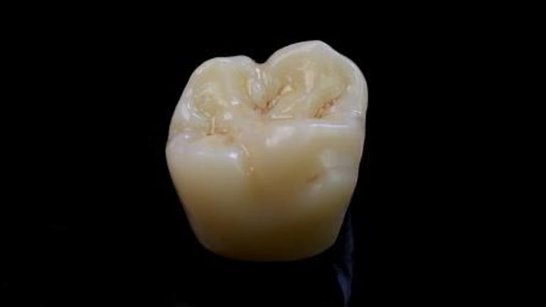 priti® multidisc ZrO₂ O von Pritidenta GmbH – Bild 3